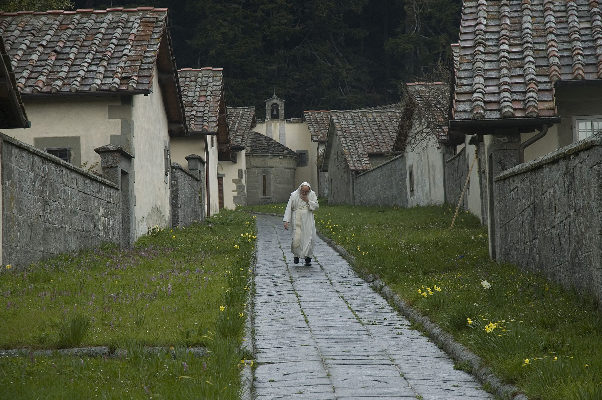 Celle_di_camaldoli